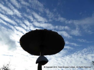 Atmospheric pictures  & Stills 