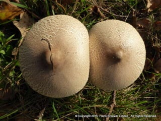 Atmospheric pictures  & Stills 