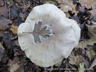 Atmospheric pictures  & Stills 