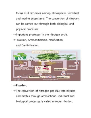 forms as it circulates among atmosphere, terrestrial,
and marine ecosystems. The conversion of nitrogen
can be carried out through both biological and
physical processes.
Important processes in the nitrogen cycle.
 Fixation, Ammonification, Nitrification,
and Denitrification.
Fixation.
The conversion of nitrogen gas (N2) into nitrates
and nitrites through atmospheric, industrial and
biological processes is called nitrogen fixation.
 