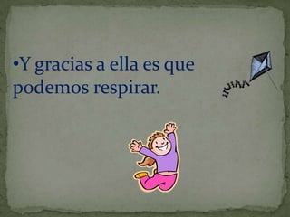 •Y gracias a ella es que
podemos respirar.
 