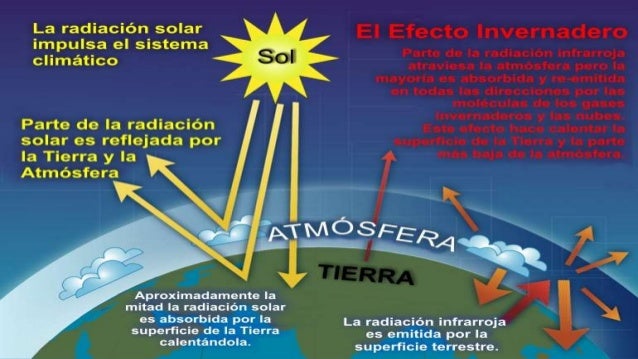 Los baños con el sulfato del magnesio para el adelgazamiento las revocaciones
