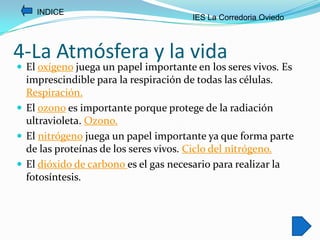 INDICE
                                      IES La Corredoria Oviedo



4-La Atmósfera y la vida
 El oxígeno juega un papel importante en los seres vivos. Es
  imprescindible para la respiración de todas las células.
  Respiración.
 El ozono es importante porque protege de la radiación
  ultravioleta. Ozono.
 El nitrógeno juega un papel importante ya que forma parte
  de las proteínas de los seres vivos. Ciclo del nitrógeno.
 El dióxido de carbono es el gas necesario para realizar la
  fotosíntesis.
 