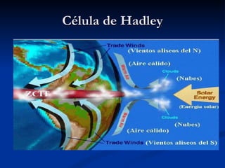 Célula de Hadley 