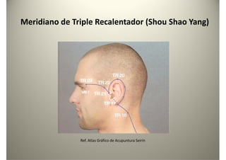 Meridiano de Triple Recalentador (Shou Shao Yang)
Ref. Atlas Gráfico de Acupuntura Seirín
 
