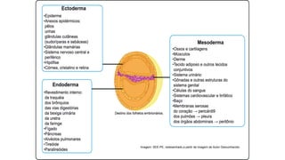 Ciências da Natureza e suas Tecnologias
Ensino Médio, 2ªSérie
Imagem: SEE-PE, redesenhado a partir de imagem de Autor Desconhecido.
 