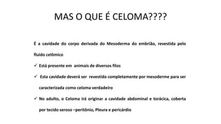 É a cavidade do corpo derivada do Mesoderma do embrião, revestida pelo
fluido celômico
✓ Está presente em animais de diversos filos
✓ Esta cavidade deverá ser revestida completamente por mesoderme para ser
caracterizada como celoma verdadeiro
✓ No adulto, o Celoma irá originar a cavidade abdominal e torácica, coberta
por tecido seroso –peritônio, Pleura e pericárdio
 