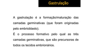 A gastrulação é a formação/maturação das
camadas germinativas (que foram originadas
pelo embrioblasto).
É o processo formativo pelo qual as três
camadas germinativas, que são precursoras de
todos os tecidos embrionários.
Gastrulação
 