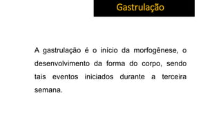 A gastrulação é o início da morfogênese, o
desenvolvimento da forma do corpo, sendo
tais eventos iniciados durante a terceira
semana.
Gastrulação
 