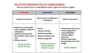 ECTODERME MESODERME ENDODERME
Folheto mais externo
Situa-se entre a ectoderme e
a endoderme
Folheto mais interno
• Epiderme e anexos (pêlos,
unhas, glândulas sebáceas e
sudoríparas)
• epitelio de revestimento
das cavidades nasal, bucal e
anal
• Sistema nervoso
(Tecido epitelial)
(Tecido nervoso)
• Derme
• Sistema muscular
• Sistema Esquelético
• Sistema Cardiovascular
• Sistema Urogenital
(Tecidos conjuntivos)
(Tecido epitelial)
(Tecido muscular)
• Revestimento interno do
sistema digestório e
anexos (glândulas
salivares, fígado,
pâncreas)
• Sistema respiratório
• Revestimento interno da
bexiga
(Tecido epitelial)
FOLHETOS GERMINATIVOS OU EMBRIONÁRIOS
Lâminas celulares que na organogênese darão origem aos tecidos e órgãos.
 