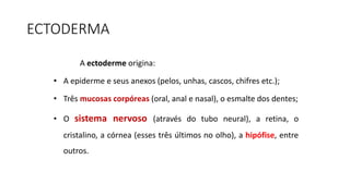 ECTODERMA
A ectoderme origina:
• A epiderme e seus anexos (pelos, unhas, cascos, chifres etc.);
• Três mucosas corpóreas (oral, anal e nasal), o esmalte dos dentes;
• O sistema nervoso (através do tubo neural), a retina, o
cristalino, a córnea (esses três últimos no olho), a hipófise, entre
outros.
 