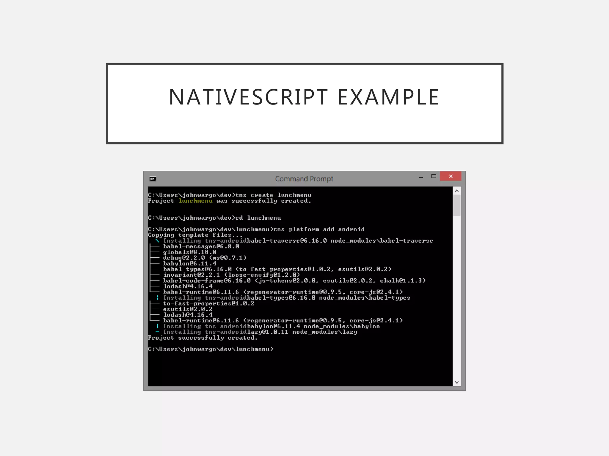 NATIVESCRIPT EXAMPLE
 