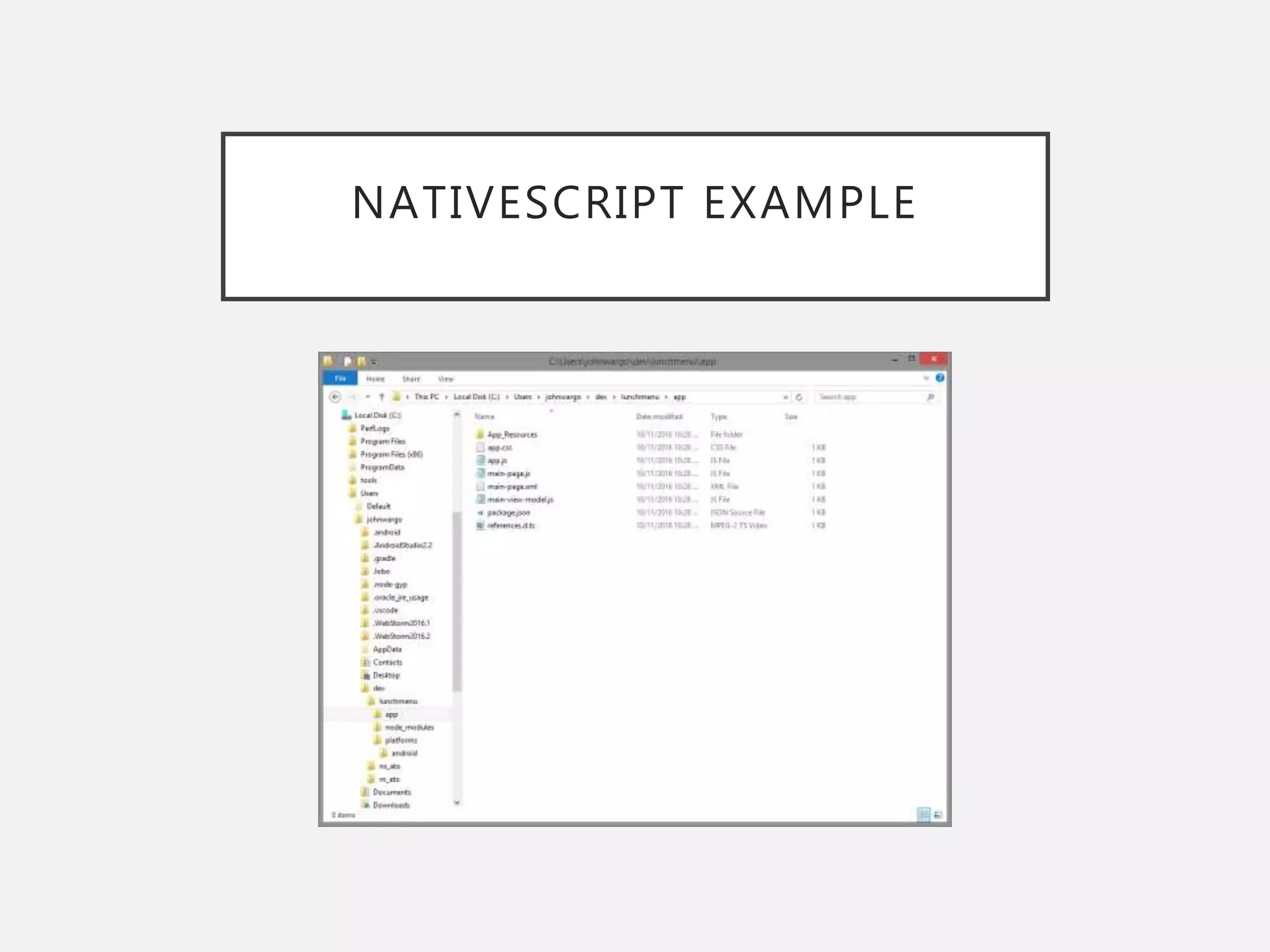 NATIVESCRIPT EXAMPLE
 
