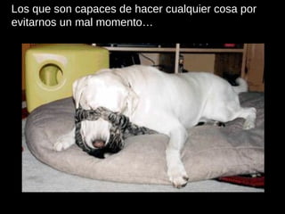 Los que son capaces de hacer cualquier cosa por evitarnos un mal momento… 