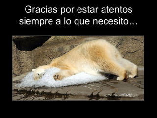 Gracias por estar atentos siempre a lo que necesito… 
