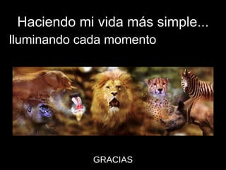 Haciendo mi vida más simple... II lluminando cada momento GRACIAS 