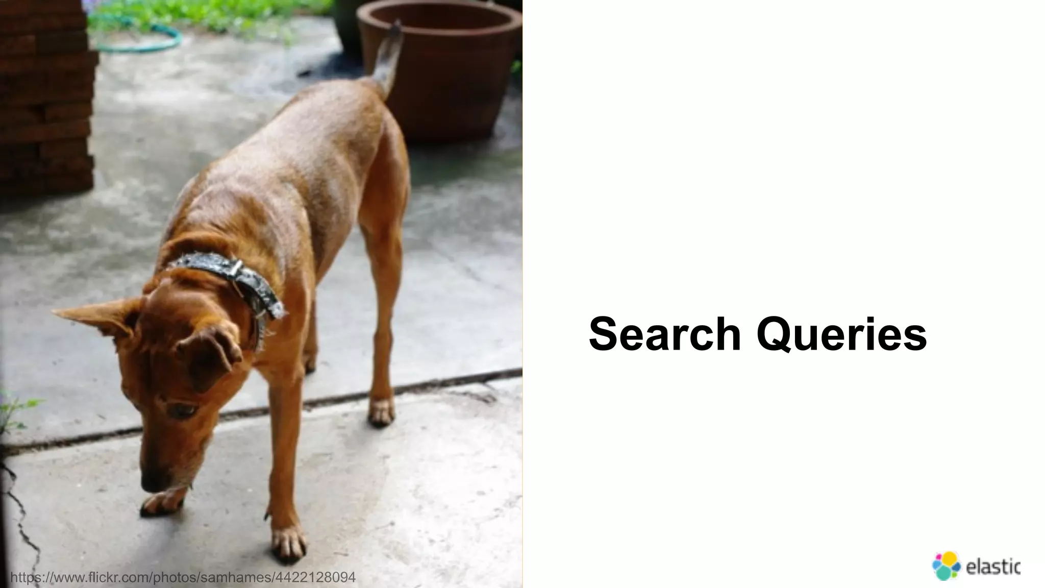 6
Search Queries
https://www.flickr.com/photos/samhames/4422128094
 