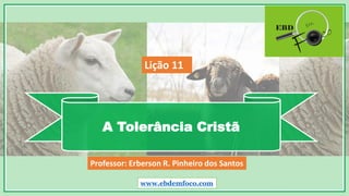 A Tolerância Cristã
www.ebdemfoco.com
Professor: Erberson R. Pinheiro dos Santos
Lição 11
 