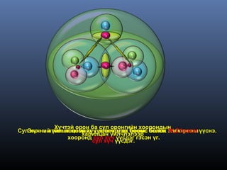 Хүчтэй орон ба сул оронгийн хоорондын
Сул хүчний үйлчлэлээр хүч зөөвөрлөх бөөмс болон электроны үүснэ.
   Энэ нь атомын цөмийг үүсгэгч эгэл бөөмс болох W,Z boson
                     харилцан үйлчлэлээр
                хооронд сул хүч үүсдэг гэсэн үг.
                        сул хүч үүсдэг.
 