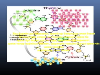 Янз бүрийн дэс дараалал, эрэмбээр байрласан атом бүхий
       Молекулууд нэгдэж янз бүрийн элемент, эрдэс ба
     эрдэс бус бодис үүсгэх бүрд, оронгийн хуваарилалт,
шинж чанар нарийсах боловч, оршихуйн түвшин бүртээ оронгийн
                       шинж чанараа
                   хадгалсаар байх болно.


                               =
 