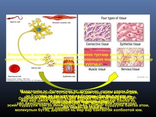 Энгийн атом, молекул нь эсийн хана хэмээх тусгаар ханаар нэг нэгнээсээ
орон тусгаарлаж, тусгаар оронг үүсгэн, хоорондоо мэдээлэл дамжуулснаар
                         биологийн амь үүсгэдэг.




       Мэдрэлийн эс, булчингийн эс, хучуурбүрд орон өөрчлөгдөж,
        Атом, молекулын бүтэц өөрчлөгдөх эс, цусны улаан бөөм,
          эр бэлгийн эс гэх мэтээр эд болгоны бүхий л эсүүд нь
         орон өөрчлөгдөх бүрд тусгаар орон гэжчиглэл, зорилго,
                 Нэг эс нь нэг үйл ажиллагааны бодоход
       Оронгийн хуваарилалт хэдий нарийн түвэгтэй болох тусам,
        өөр өөр шинж чанартай, өөр өөр бүтэц, үүрэгтэй байгаа нь
                      хэдэн сая тусгаар орон болох
     үйл ажиллагааны программчлал, өөрчлөгдөнө. нарийвчлал
                        дэс дараалал үйл хөдлөлийн
 эсийг бүрдүүлж байгаа амин хүчил, амин хүчлийг бүрдүүлж байгаа атом,
                            Эсүүдээс эд үүснэ.
                  төдий нарийн, түвэгтэй болж ирнэ.
    молекулын бүтэц, дараалал нь өөр өөр байгаатай холбоотой юм.
 