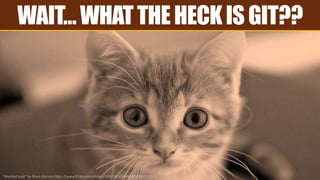 WAIT…WHATTHEHECKISGIT??
“Worried look” by Mark Biarnès https://www.flickr.com/photos/104318263@N04/11453255504
 