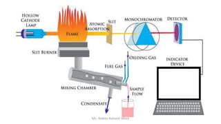 Ms. Ankita Avinash More
 