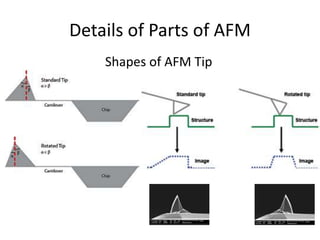 Details of Parts of AFM
Shapes of AFM Tip
 