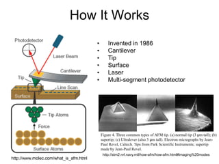 Atomic force microscopy | PPT
