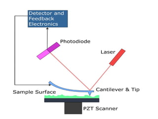 ATOMIC FORCE MICROSCOPY - The characterization Technique | PPT