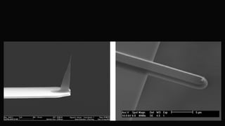 Atomic Force Microscopy IN BIOLOGICAL RESEARCH | PDF