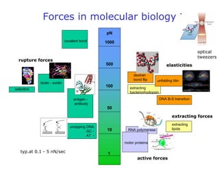 Forces in molecular biology
motor proteins
RNA polymerase
active forces
extracting
lipids
DNA B-S transition
unfolding titin
dextran
bond flip
extracting
bacteriorhodopsin
elasticities
extracting forces
typ.at 0.1 - 5 nN/sec
10
50
1
100
500
1000
pN
selectins
biotin - avidin
covalent bond
antigen -
antibody
rupture forces
unzipping DNA
GC -
AT -
optical
tweezers
 