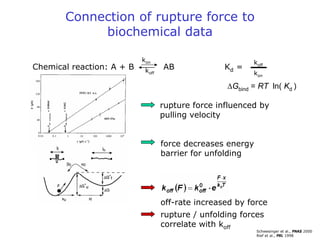 Chemical reaction: A + B AB Kd =
ΔGbind = RT ln( Kd )
Connection of rupture force to
biochemical data
Schwesinger et al., PNAS 2000
Rief et al., PRL 1998
off-rate increased by force
kon
koff
koff
kon
rupture force influenced by
pulling velocity
force decreases energy
barrier for unfolding
rupture / unfolding forces
correlate with koff
 