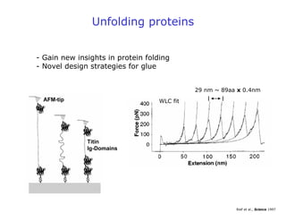 Unfolding proteins
AFM-tip
Titin
Ig-Domains
29 nm ~ 89aa x 0.4nm
WLC fit
- Gain new insights in protein folding
- Novel design strategies for glue
Rief et al., Science 1997
 