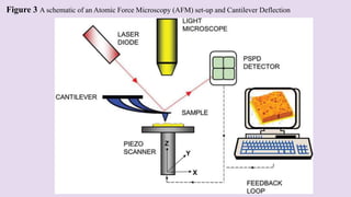 Figure 3 A schematic of an Atomic Force Microscopy (AFM) set-up and Cantilever Deflection
 