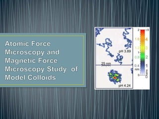 Atomic Force Microscopy and Magnetic Force Microscopy Study  of Model Colloids 