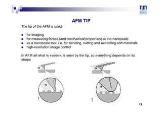 Comprehensive Overview of Atomic Force Microscopy: Principles ...