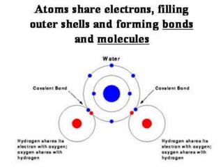 ATOMIC PHYSICS LECTURE NOTES.ppt