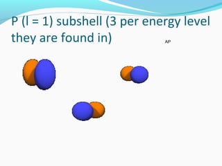 P (l = 1) subshell (3 per energy level
they are found in) AP
 