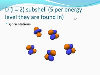 D (l = 2) subshell (5 per energy
level they are found in)
 5 orientations
AP
 