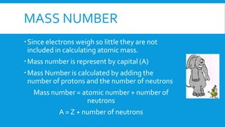 MASS NUMBER
Since electrons weigh so little they are not
included in calculating atomic mass.
Mass number is represent by capital (A)
Mass Number is calculated by adding the
number of protons and the number of neutrons
Mass number = atomic number + number of
neutrons
A = Z + number of neutrons
 