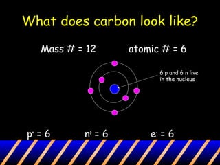 What does carbon look like?
Mass # = 12 atomic # = 6
p+
= 6 no
= 6 e-
= 6
6 p and 6 n live
in the nucleus
 