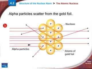Slide
19 of 25
© Copyright Pearson Prentice Hall
>
Structure of the Nuclear Atom The Atomic Nucleus
Alpha particles scatter from the gold foil.
4.2
 