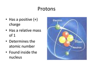 Protons Has a positive (+) charge Has a relative mass of 1 Determines the atomic number Found inside the nucleus 