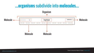 Polaris Industries PG&A UX Team - March 2017
alfonso.moreno@polaris.com
LANGUAGESearch this site
NAV. LINKNAV. LINKNAV. LINKNAV. LINKNAV. LINKNAV. LINKNAV. LINKNAV. LINKNAV. LINKNAV. LINK
logotype
...organisms subdivide into molecules...
Organism
Molecule
Molecule Molecule
Molecule
 