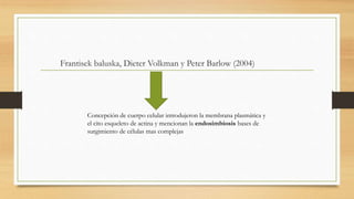 Frantisek baluska, Dieter Volkman y Peter Barlow (2004)
Concepción de cuerpo celular introdujeron la membrana plasmática y
el cito esqueleto de actina y mencionan la endosimbiosis bases de
surgimiento de células mas complejas
 