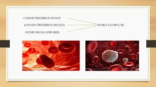 CASPAR FRIEDRICH WOLFF
JOHANN FRIEDRICH MECKEL
HENRI MILNE-EDWARDS
TEORIA GLOBULAR
bioenfasis.blogspot.com www.lasallegracia.cat-
 
