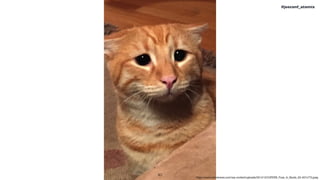 !40
#jeeconf_atomix
https://www.catersnews.com/wp-content/uploads/2014/12/CATERS_Puss_In_Boots_03-457x773.jpeg
 