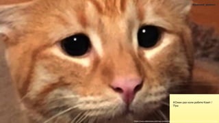 !42
#jeeconf_atomix
КОжен раз коли робите Коміт /
Пуш
https://www.catersnews.com/wp-content/uploads/2014/12/CATERS_Puss_In_Boots_03-457x773.jpeg
 