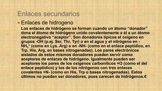 Enlaces secundarios
 Enlaces de hidrogeno
Los enlaces de hidrógeno se forman cuando un átomo “donador”
dona el átomo de hidrógeno unido covalentemente a él a un átomo
electronegativo “aceptor”. Son donadores típicos el oxígeno en
grupos -OH (p.ej. Ser, Thr, Tyr) o en el agua y el nitrógeno en -
NH3
+ (como en Lys, Arg) o en -NH- (como en el enlace peptídico, en
Trp, His, Arg, en bases nitrogenadas). Los pares electrónicos
aislados de estos mismos donadores pueden servir como
aceptores de enlaces de hidrógeno. Igualmente pueden ser
aceptores los pares de los oxígenos carbonílicos =O (como el del
enlace peptídico) y los de los nitrógenos con tres enlaces
covalentes =N- (como en His, Trp o bases nitrogenadas). Estos
últimos no pueden ser donadores, pues carecen de hidrógenos.€
 